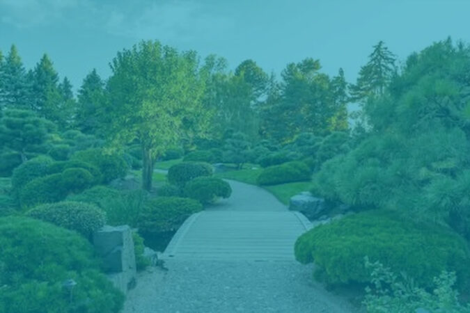 How Social Prescribing Transforms Mental Health: Nature, Community, and Sustainable Healing