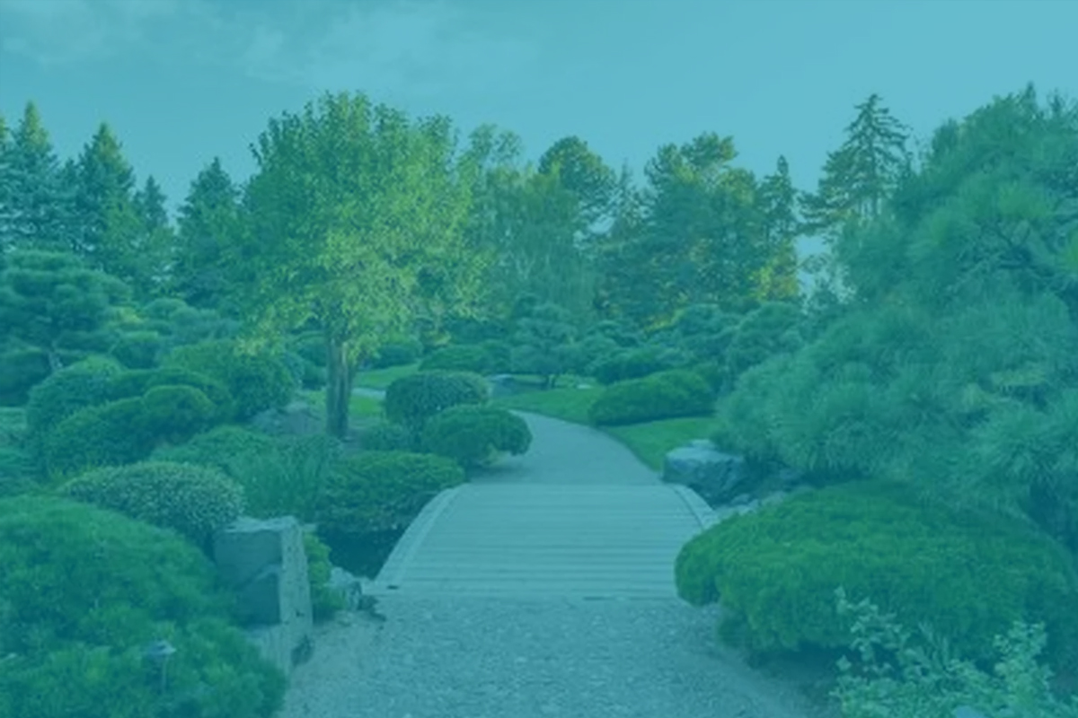 How Social Prescribing Transforms Mental Health: Nature, Community, and Sustainable Healing