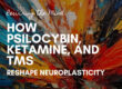 Rewiring the Mind: How Psilocybin, Ketamine, and TMS Reshape Neuroplasticity